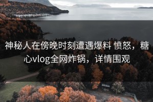 神秘人在傍晚时刻遭遇爆料 愤怒，糖心vlog全网炸锅，详情围观