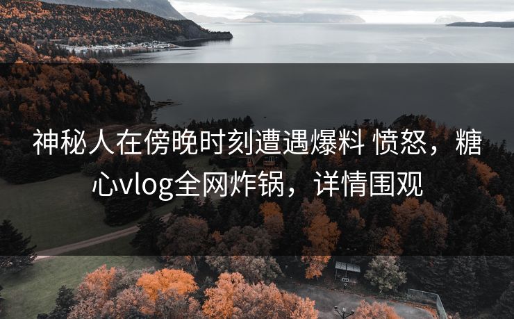 神秘人在傍晚时刻遭遇爆料 愤怒，糖心vlog全网炸锅，详情围观