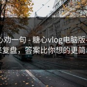 我真心劝一句 - 糖心vlog电脑版——我来复盘，答案比你想的更简单