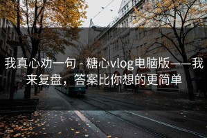 我真心劝一句 - 糖心vlog电脑版——我来复盘，答案比你想的更简单