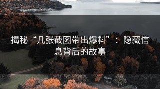 揭秘“几张截图带出爆料”：隐藏信息背后的故事