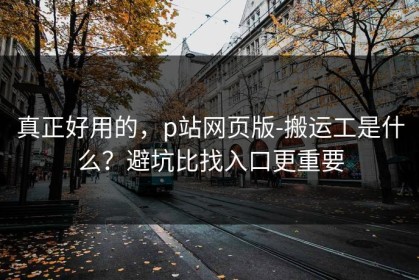 真正好用的，p站网页版-搬运工是什么？避坑比找入口更重要