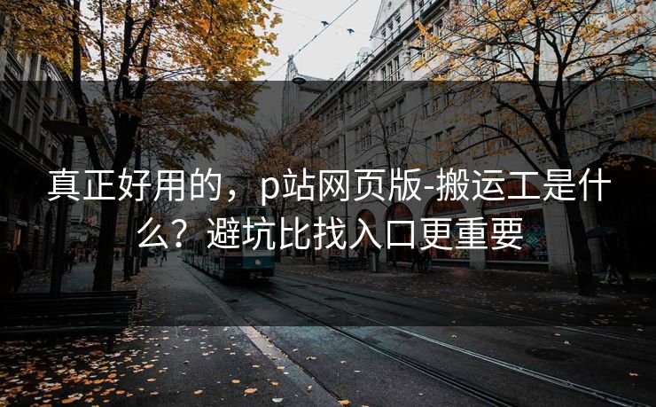真正好用的,p站网页版-搬运工是什么?避坑比找入口更重要 真正好用的,p站网页版-搬运工是什么?避坑比找入口更重要
